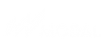 Logo MODAL